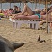 Zumbrai Beach Bar & Restaurant in Benaulim city
