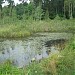 Malyi Lazenkovskiy Pond