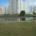 Верхний Гавриковский пруд в городе Москва