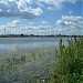 Южнобутовский пруд в городе Москва