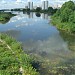 Южнобутовский пруд в городе Москва