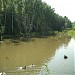 4th pond on Biryulyovsky stream