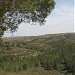 مستنبت أبو المسان في ميدنة صما 