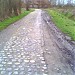 Paris-Roubaix secteur 4 :  pavé du carrefour de l'arbre