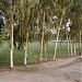 Play Ground Government Sabria Sirajia Higher Secondary School in Faisalabad/Lyallpur city