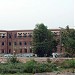 Government College University