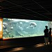 Amazonia in Washington, D.C. city