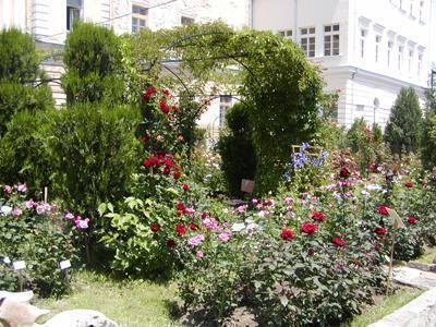 Universitetska Botanicheska Gradina Oblast Sofiya