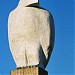Eagle statue in City of Melbourne, Victoria city