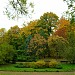 Ogród Botaniczny w Parku Oliwskim in Gdańsk city