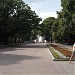 Shevchenko City Garden