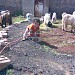 منزل السيد أبو خلدون موسى قطيش 