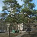 Бывш. деревня Дальнее Беляево в городе Москва