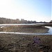 Пруд в городе Москва