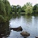 Stiehls Teich in Stadt Solingen