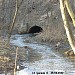 Выход р. Чермянки из трубы под ул. Корнейчука в городе Москва