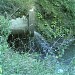 Раменский городской парк в городе Раменское
