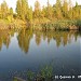 Малый Южный пруд (ru) in Moscow city
