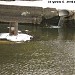 Выпуск коллектора ливневой канализации в городе Москва