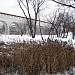 Заповедный участок — левобережная пойма реки Яузы от Ростокинского акведука до реки Будайки в городе Москва