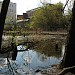 Заболоченный пруд на Верхнем Богородском ручье в городе Москва