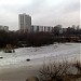 Пруд на Козеевском ручье в городе Москва