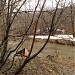 Долина реки Чермянки от Медведковской железнодорожной ветки до пр. Дежнева в городе Москва