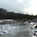 Swamp