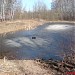 Верхний пруд на левом притоке Казённого ручья в городе Москва
