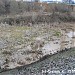 Здесь раньше находилась болотистая местность в городе Москва