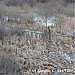 Здесь раньше находилась болотистая местность в городе Москва