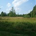 Луг в городе Москва
