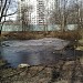 Заболоченный пруд в городе Москва