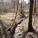 Lyakhvinsky ravine in Moscow city