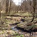 Lyakhvinsky ravine in Moscow city