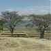 Awasa Nursery - Eden Reforestation Projects Nursery Site (en) በ አዋሳ ከተማ