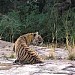 Ranthambhore Tiger Reserve