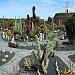 Cactus Garden Guatiza
