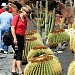 Cactus Garden Guatiza