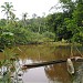 Pulau Siberut