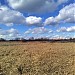 Тереховское болото в городе Москва