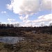 Тереховское болото в городе Москва
