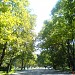 Градски парк in Ямбол city