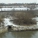 Устье Оленьего ручья в городе Москва