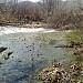 Пруд-болото в пойме реки Чермянки в городе Москва