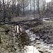 Пойма Теплостанского ручья в городе Москва