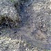 Место слияния двух истоков р. Очаковки в городе Москва