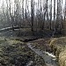 Место слияния двух истоков р. Очаковки в городе Москва