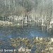 Заболоченный участок на Казённом ручье в городе Москва