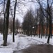 Сквер в городе Долгопрудный